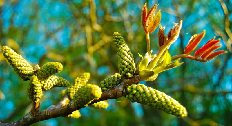 Tartja magát a szokatlanul enyhe idő