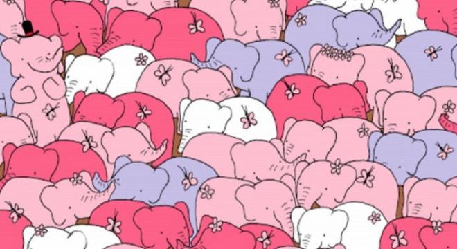Dudolf Valentin-napi képrejtvénye: megtaláljátok a szívet az elefántok között?