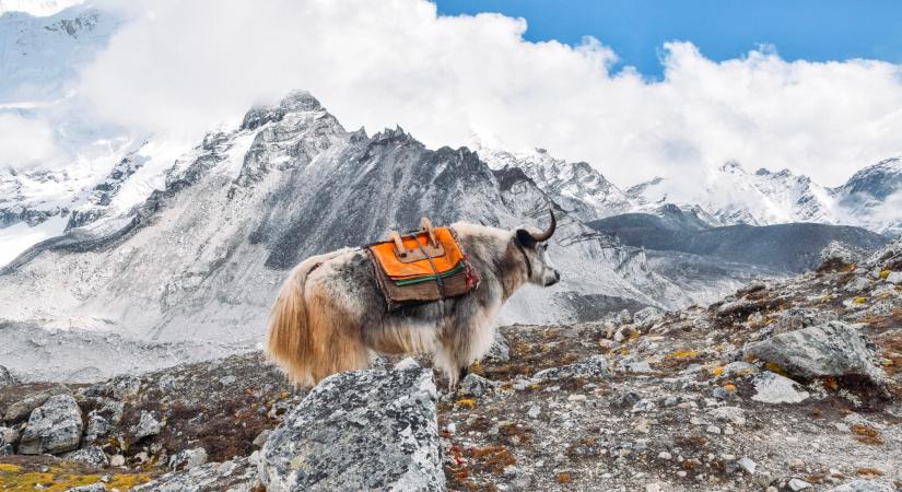 Miért olvadnak a Himalája gleccserei tízszer gyorsabban, mint a többi?