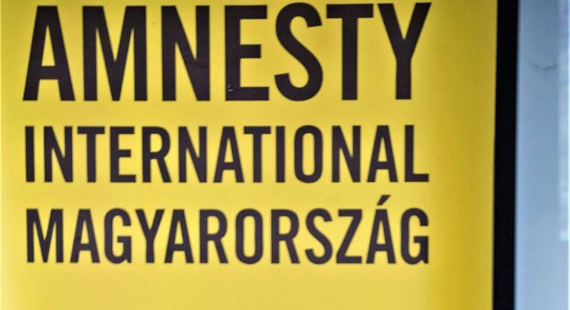 Amnesty International director: Human rights organisation behaves as part of the opposition