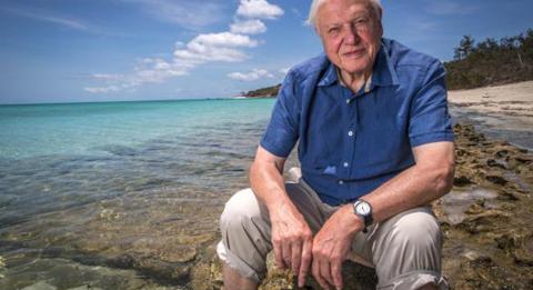 Sir David Attenborough sürgős cselekvésre szólít fel mindenkit, hogy legyen még esélyünk élni