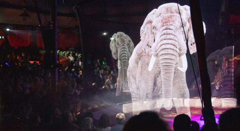 Szépek a hologramelefántok, de nem ők jelentik a cirkuszforradalmat