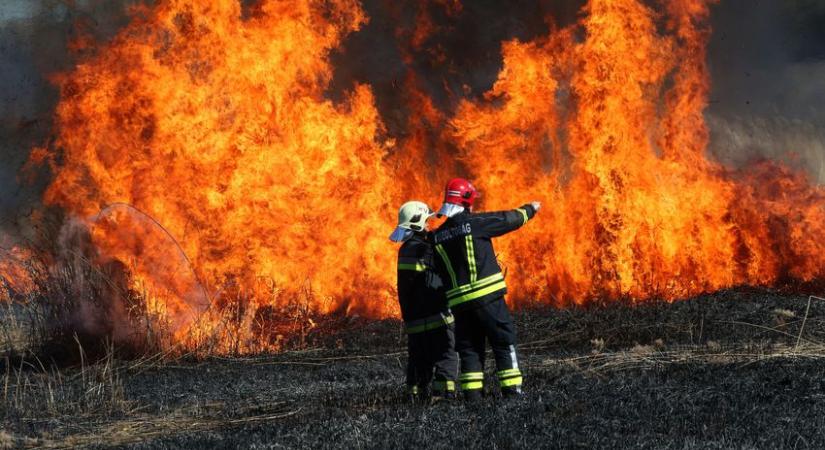 Húsznál is több szabadtéri tűzhöz vonultak kedden a megyei tűzoltók