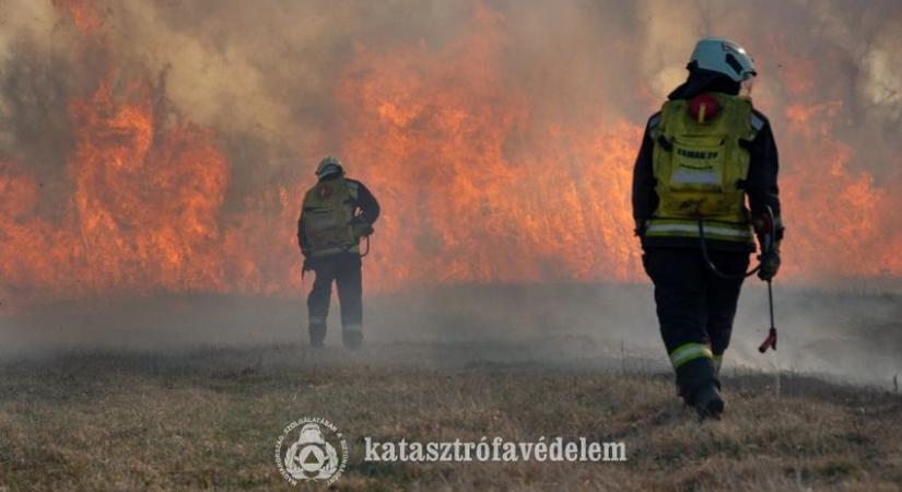 Szabadtéri tűzesetek adtak munkát a hétvégén megyénk tűzoltóinak