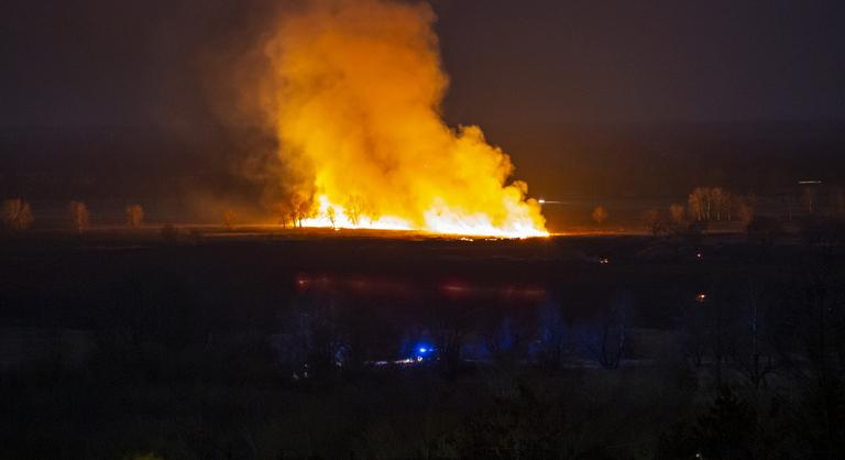 Tavaly 120 hektár égett le, most tűzoltók vigyázzák a fonyódi nádast