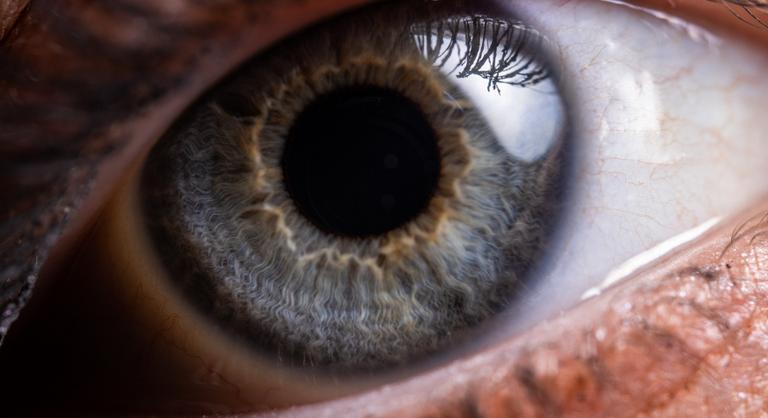 Sci-fiből valóság: látássérülteknek segíthet a bionikus szem
