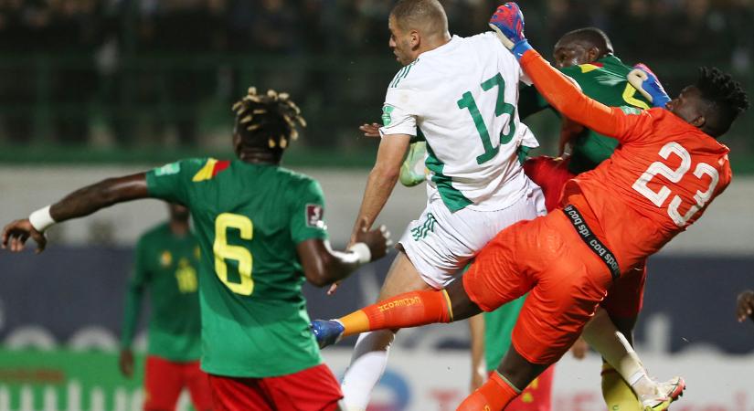 Vb 2022: Algéria a Kamerun elleni visszavágó újrajátszását kéri