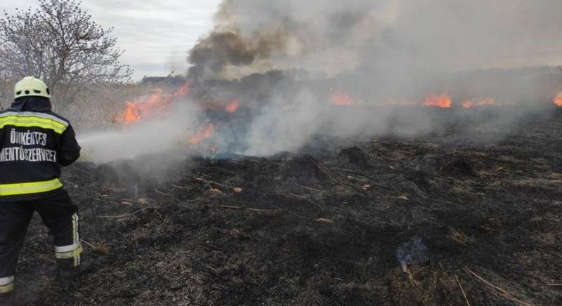 Nyolc méter magas lángokat zaboláztak meg a siófoki tűzoltók (videó)