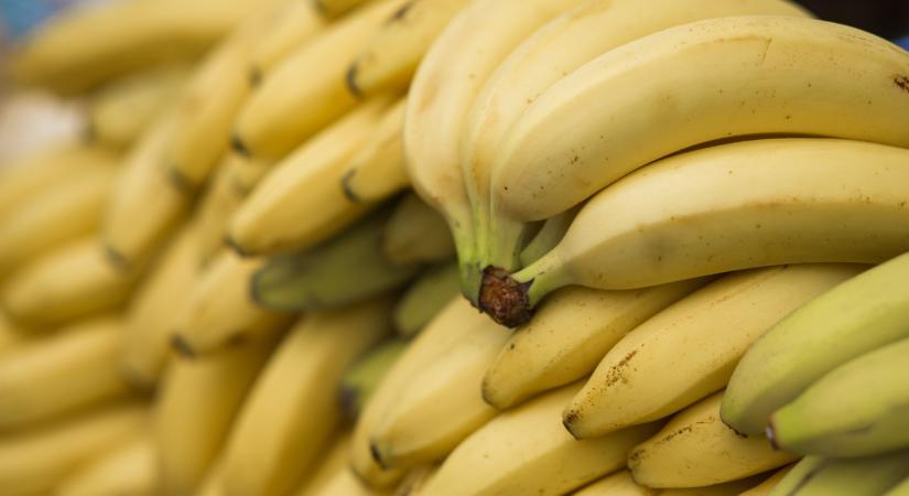 Az orosz-ukrán háború Ecuadort is elérte: problémás az export, rohad a banán