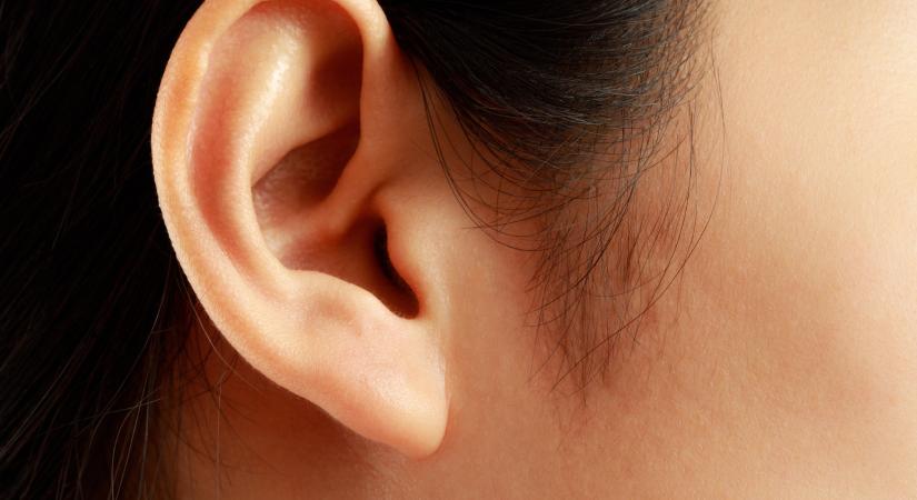 Feltaláltak egy eljárást, amivel visszafordítható a halláskárosodás