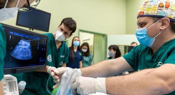 Először Szegeden alkalmaztak fagyasztásos eljárást daganatok kezelésében Magyarországon