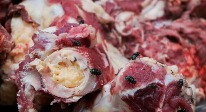 Mivel etették a szegedieket? Fertőzött húsokat foglaltak le az egyik piacon
