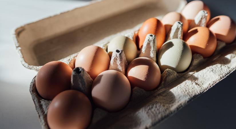 Nyakunkon a tojáskrízis: drágállják a vásárlók, de mi lesz itt húsvét után?