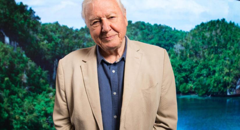 David Attenborough a dinoszauruszok utolsó napját mutatja be új dokumentumfilmjében