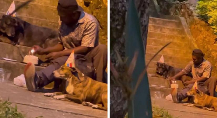 Szülinapi bulit tartott kutyáinak a hajléktalan férfi: megható fordulatot vett az életük