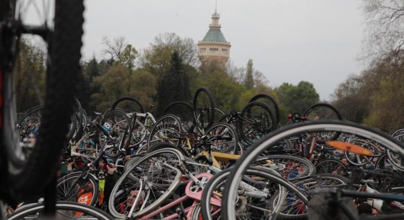 I bike Budapest: idén is ezrek tekertek át a városon (fotók)