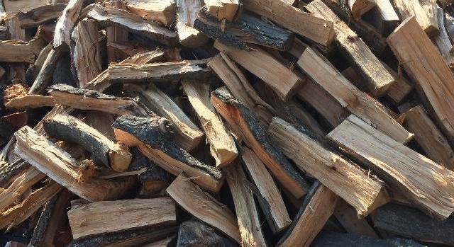 Nem javult a helyzet az illegális fakitermelés kapcsán