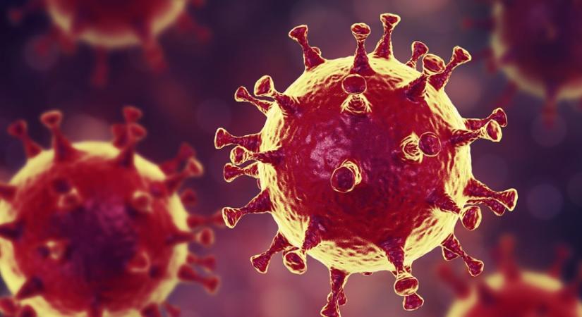 Negatív rekord: ennyi ideig tartott az eddigi leghosszabb koronavírus-fertőzés