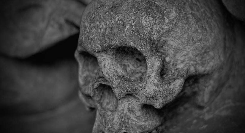 Emberi koponya került elő Soroksáron