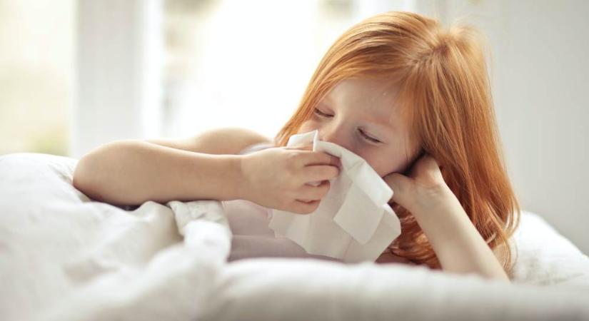 Indul az allergiaszezon – Hogyan ismerjük fel a gyermekkori allergia első jeleit?