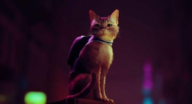 Kiderült volna a vörös macskás cyberpunk játék, a Stray megjelenése? [VIDEO]