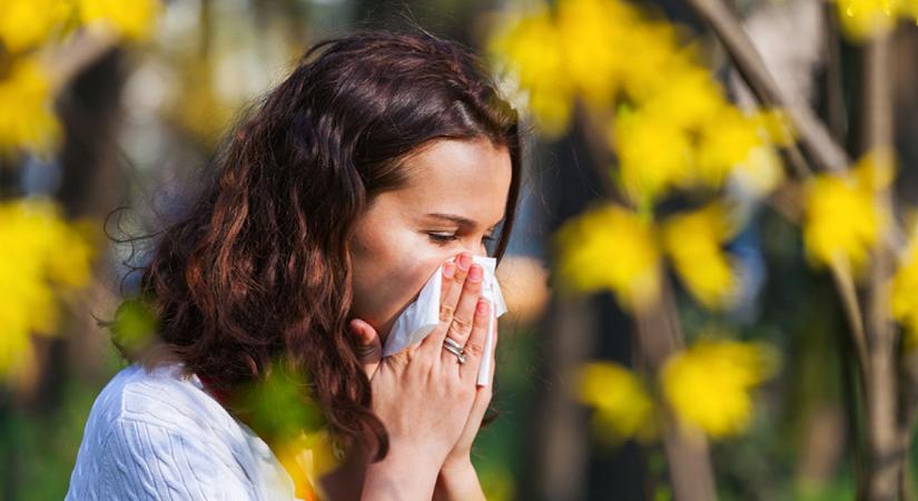 Nehéz időszak vár az allergiásokra, felerősödhetnek a tüneteik