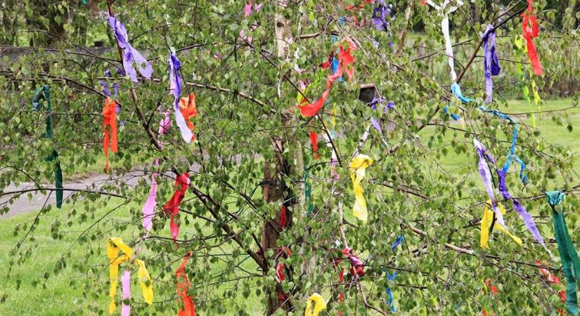 Honnan ered a májusfa állítás hagyománya?