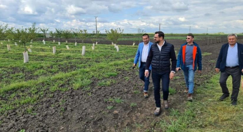 Román agrárminiszter: Együnk, mielőtt boltba mennénk