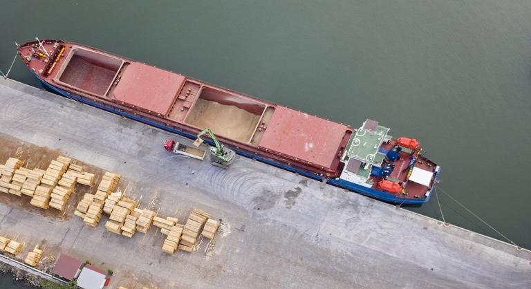 Ebből még nagy baj lehet: közel 5 millió tonna gabona rekedt az ukrajnai hajókon