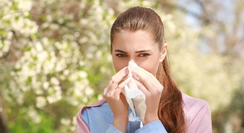 Jelenleg 20 féle pollen keseríti meg az allergiások életét: így alkalmazd a légtisztítót a lakásodban, ha eleged van az orrfújásból és a viszkető szemekből