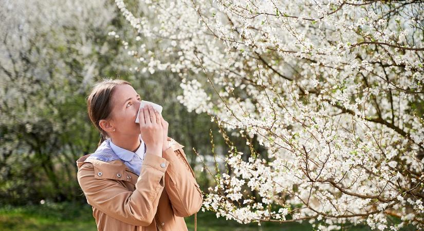 Pollenallergia – ezért járhat idén súlyosabb tünetekkel