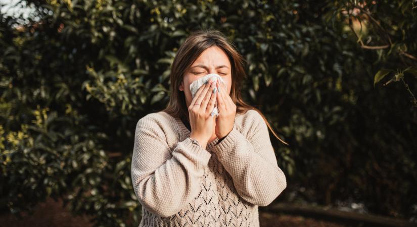 Nem tágít a pollenszezon: allergiás tüneteket okozhatnak a pázsitfűfélék