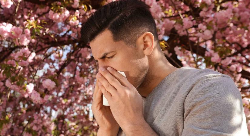Íme 5 gyógyszermentes módszer az allergia enyhítésére