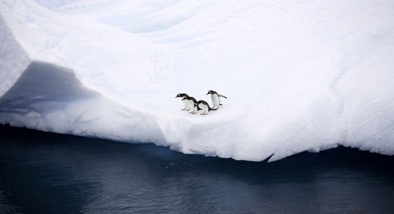 Sosem találod ki, mit fedeztek fel az Antarktisz jege alatt: vizet, na de mennyit
