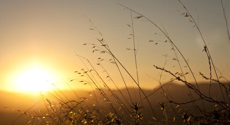 Egyre inkább a napsütésé lesz a főszerep
