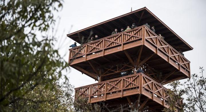Széttapossák a tihanyi Őrtorony-kilátó környékét a kirándulók