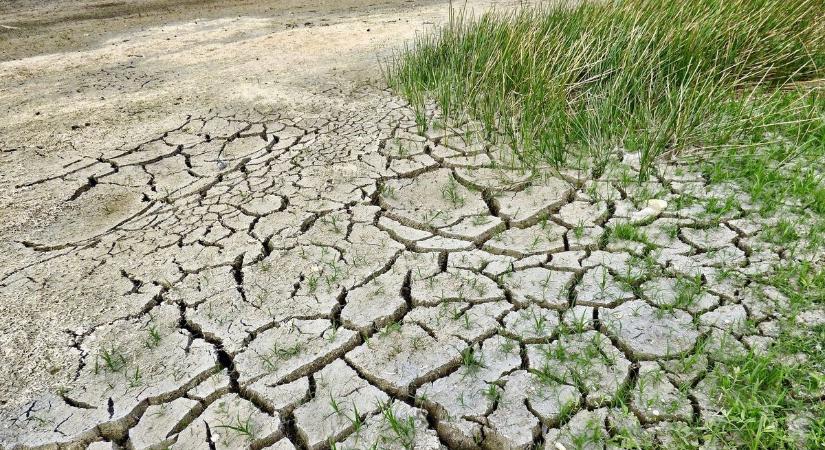 Rég nem látott szárazság fenyegeti a mezőgazdasági termelést
