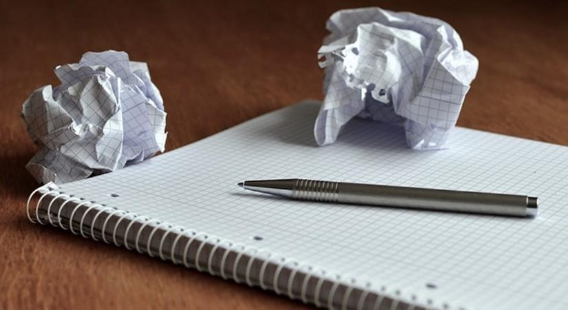 Álláslehetőség a Paks Kistérségi Szociális Központban