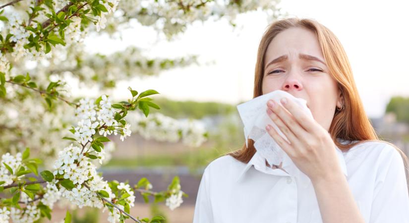 Súlyosabb tüneteket tapasztalhatnak idén a pollenallergiások