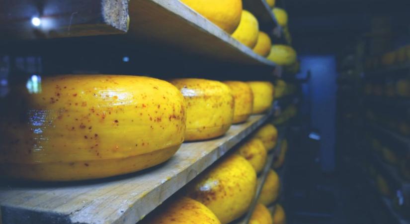 Milliókat érő sajtokat loptak Hollandiában