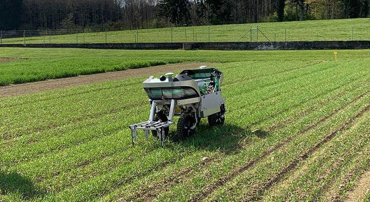 Intelligens robotot fejlesztettek ki, hogy csökkentsék a gyomirtó szerek használatát a mezőgazdaságban.