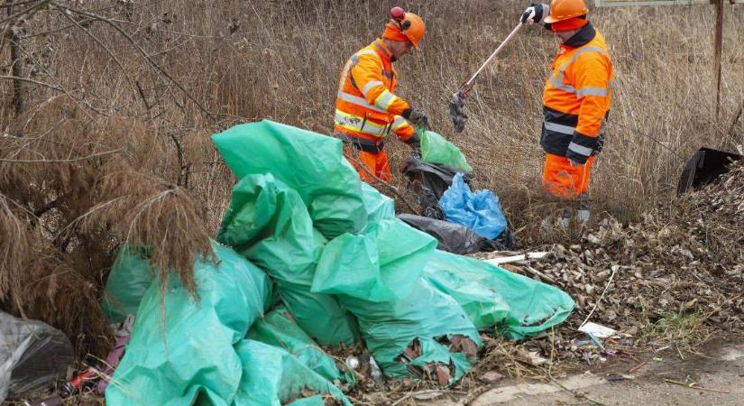 350 tonna illegális szemetet gyűjtött össze a Magyar Közút