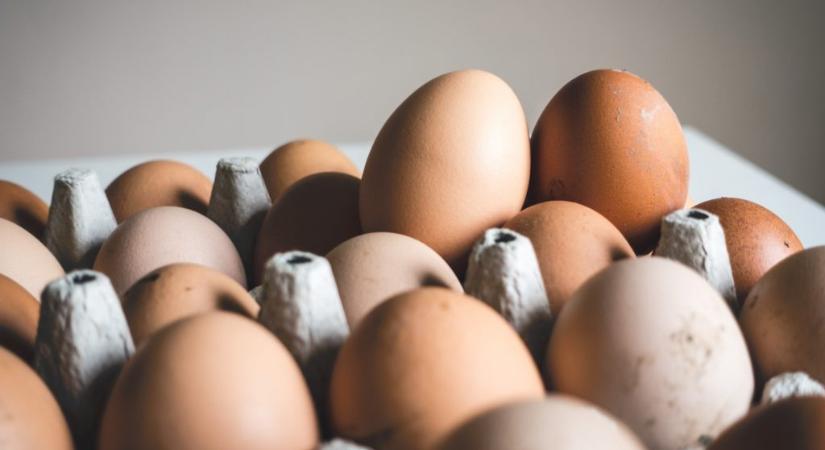 Tovább drágulhat a tojás, 80 forintba is kerülhet egy darab
