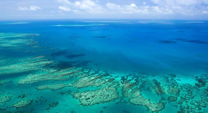 Újabb korallfehéredés sújtotta a Nagy-korallzátonyt
