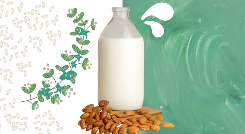 Tényleg károsak a növényi tejek?