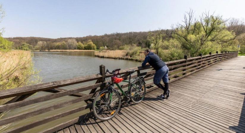 Kaposvár közelében tekerhetünk a 2022-es Év Kerékpárútján