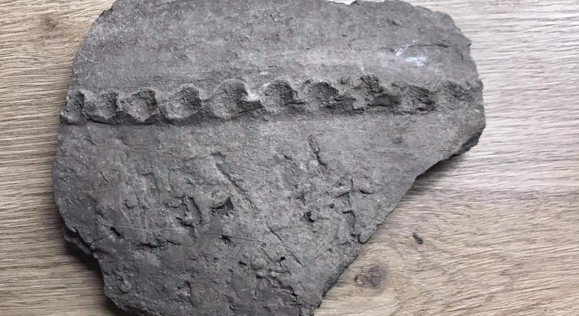 Több mint 4 ezer éves cserépdarab került elő Zselízen
