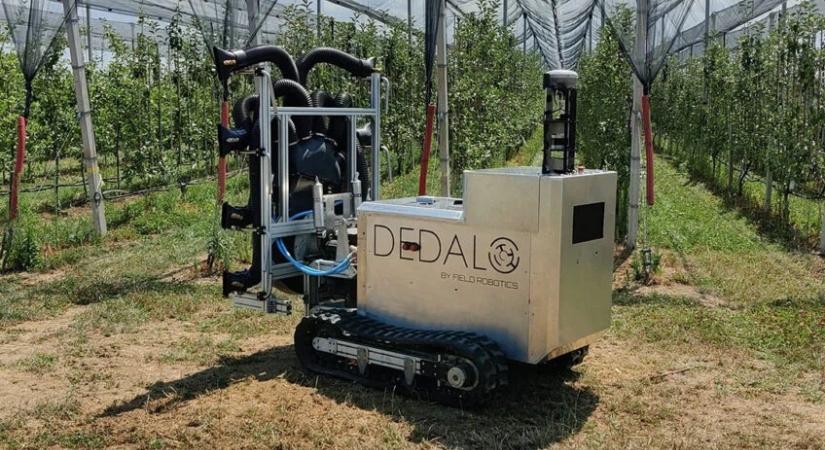 Új olasz autonóm robot a keskeny ültetvényekbe