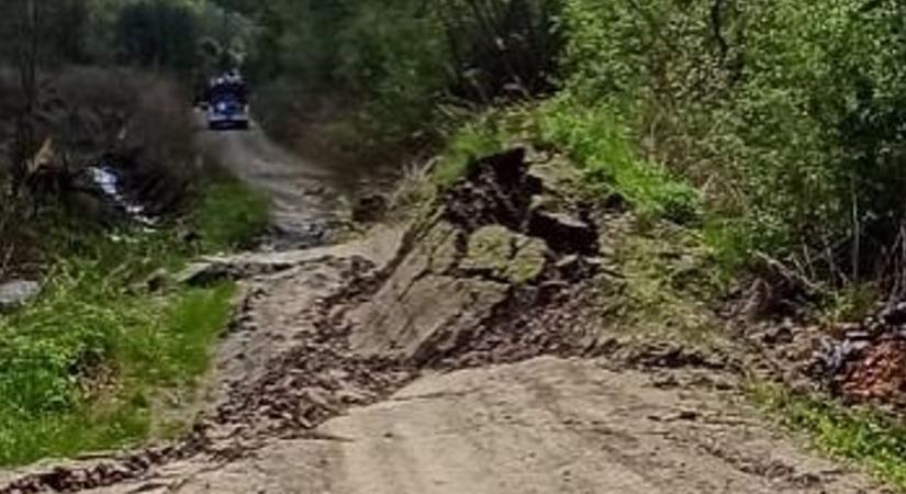 Földcsuszamlás Kazáron: egy útszakasz is megrongálódott, több fa gyökerestül kifordult (fotók)