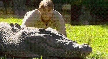 Az életéért birkózott egy krokodillal egy ausztrál turista